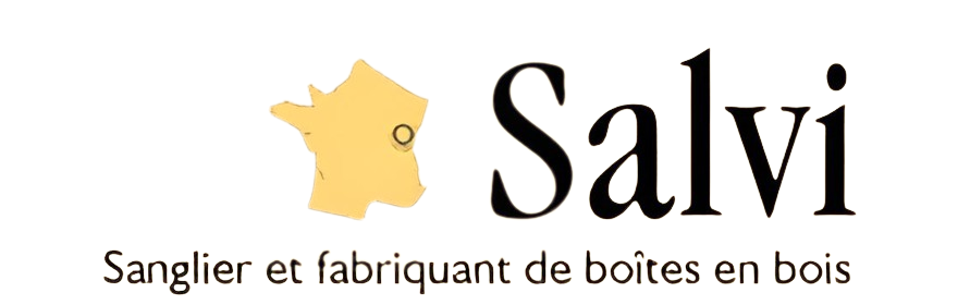Logo de Salvi